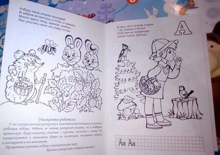 Фотография книги "Марина Дружинина: Лесная азбука"