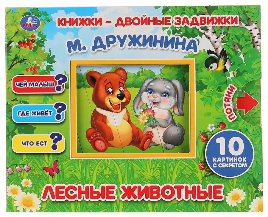 Обложка книги "Марина Дружинина: Лесные животные"