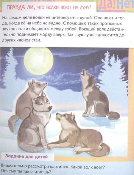 Фотография книги "Марина Султанова: От чего и почему? Правда ли что..?"