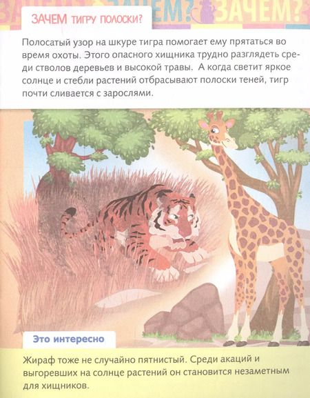 Фотография книги "Марина Султанова: От чего и почему? Зачем это нужно?"