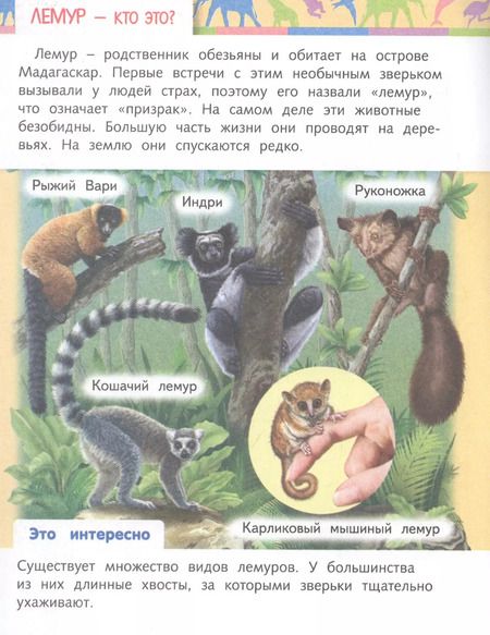 Фотография книги "Марина Султанова: Отчего и почему? Кто это? Удивительные жители нашей планеты"
