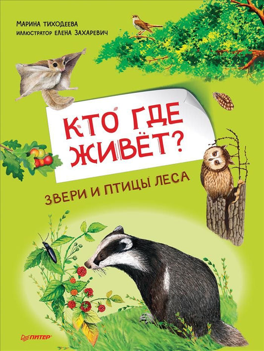 Обложка книги "Марина Тиходеева: Кто где живет? Звери и птицы леса"