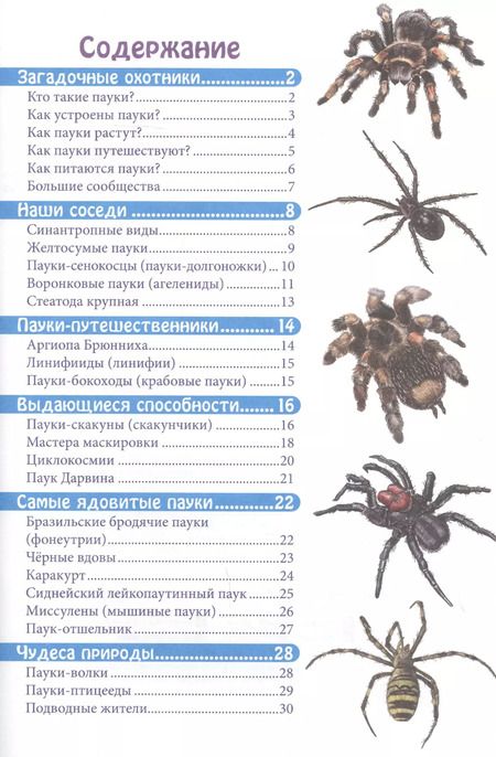 Фотография книги "Мария Куруськина: Пауки. Энциклопедия"