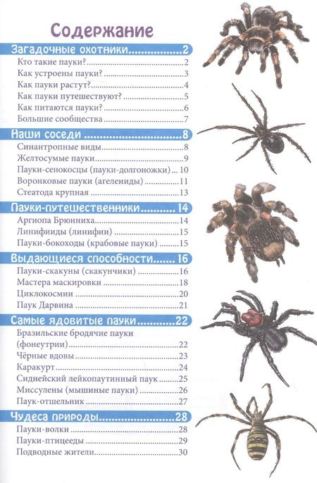 Фотография книги "Мария Куруськина: Пауки. Энциклопедия"