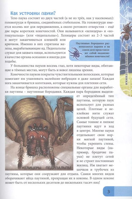 Фотография книги "Мария Куруськина: Пауки. Энциклопедия"