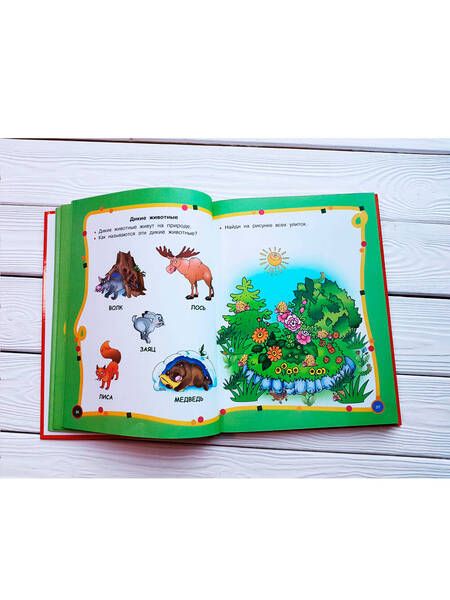 Фотография книги "Мария Малышкина: Большой годовой курс для занятий с детьми 2-3 лет"