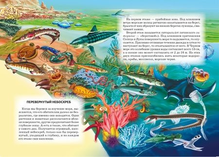 Фотография книги "Марк Махлин: Жизнь в соленой воде: Школьный путеводитель"