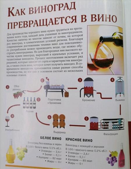 Фотография книги "Марк Шпаковский: Вино. Лучший иллюстрированный гид"