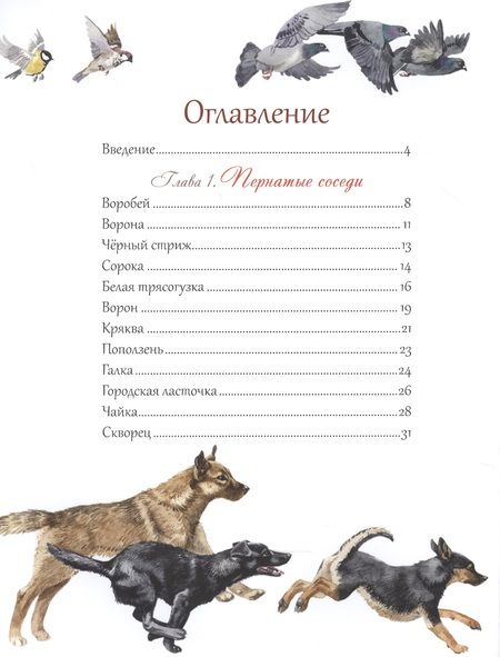 Фотография книги "Маша Шебеко: Животный мир городов"