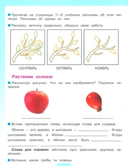 Фотография книги "Матвеева, Попова: Мир природы и человека. 3 класс. Рабочая тетрадь. Адаптированные программы. ФГОС ОВЗ"