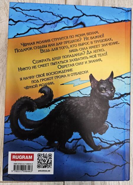 Фотография книги "Мазуров: Громовая поступь 1. Зарождение грозы"