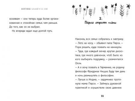 Фотография книги "Мег Розофф: Мактавиш вырывается на волю"