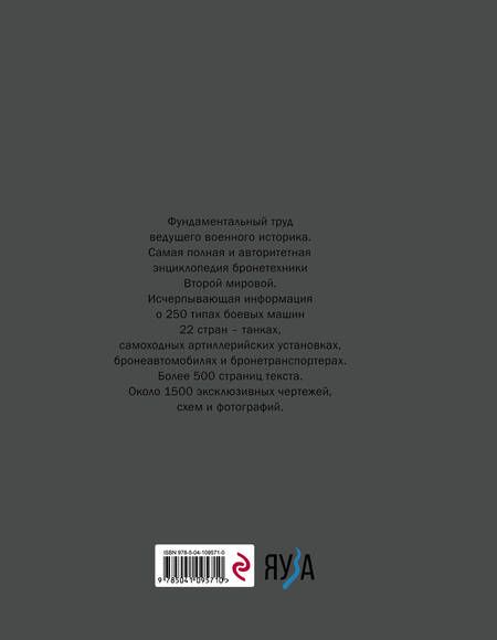 Фотография книги "Михаил Барятинский: Танки Второй мировой"
