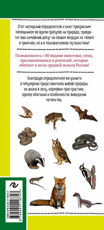 Фотография книги "Михаил Куценко: Животные и птицы. Дикие обитатели русского леса. Наглядный карманный определитель"