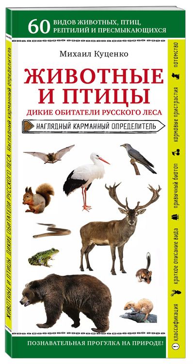 Фотография книги "Михаил Куценко: Животные и птицы. Дикие обитатели русского леса. Наглядный карманный определитель"