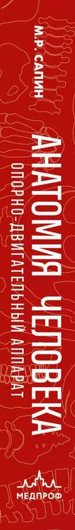 Фотография книги "Михаил Сапин: Анатомия человека. Компактный атлас. Опорно-двигательный аппарат"