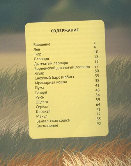 Фотография книги "Михаил Савостин: Дикие кошки"