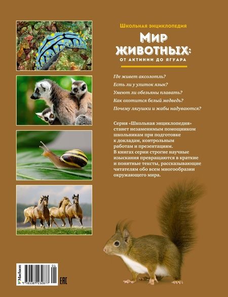 Фотография книги "Мир животных. От актинии до ягуара"