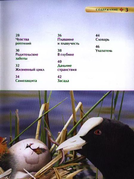Фотография книги "Миранда Смит: Энциклопедия "Животные""
