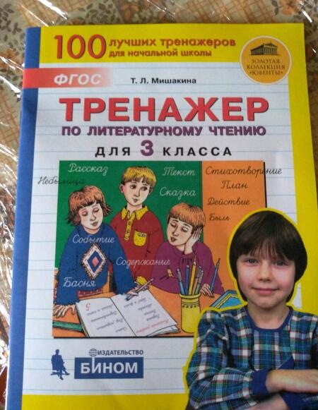Фотография книги "Мишакина: Литературное чтение. 3 класс. Тренажер. ФГОС"