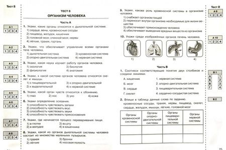 Фотография книги "Мишакина, Столярова: Окружающий мир. 3 класс. Итоговые тесты. ФГОС"