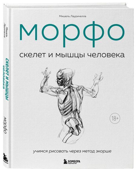 Фотография книги "Мишель Лауричелла: МОРФО. Скелет и мышцы человека. Анатомия для художников"