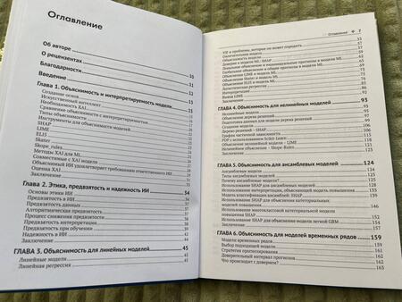 Фотография книги "Мишра: Объяснимые модели искусственного интеллекта на Python. Модель искусственного интеллекта"