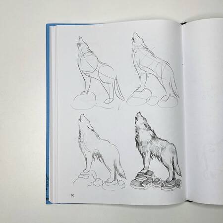 Фотография книги "Мистер Грей: Суперкурс по рисованию. Голова и фигура человека"