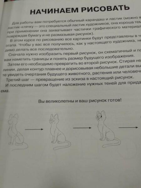 Фотография книги "Мистер Грей: Суперкурс по рисованию для начинающих"