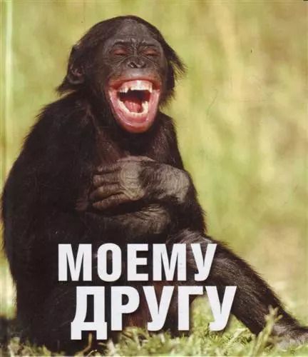 Обложка книги "Моему другу"