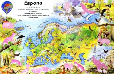 Фотография книги "Мой большой атлас животных. 80 многоразовых наклеек"