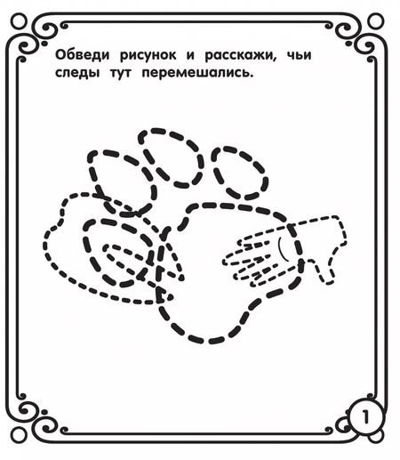 Фотография книги "Мои любимые животные"