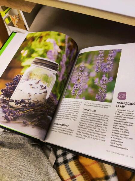 Фотография книги "Мойл, Худ: Дикий чай. Новые вкусовые территории"