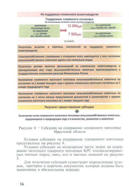 Фотография книги "Монгуш, Кара-Монгуш: Государственная поддержка отрасли мясного скотоводства. Монография"