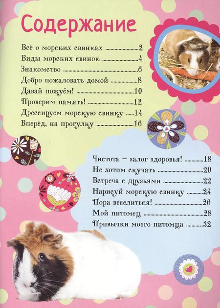 Фотография книги "Моя маленькая морская свинка + наклейки внутри"