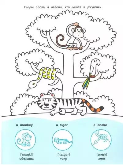 Фотография книги "Мой первый English.Р/н..Животные.Animals"