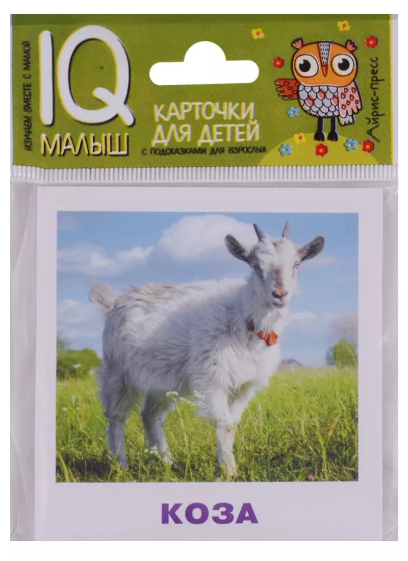 Обложка книги "Н.П. Ходюшина: Умный малыш. Домашние животные"