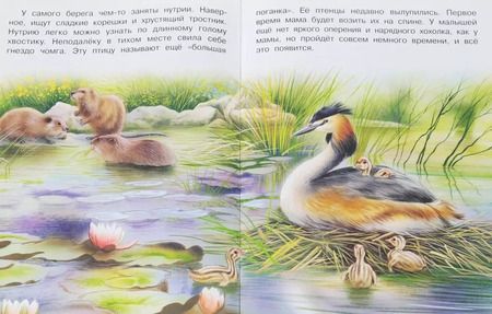 Фотография книги "На реке (мПозЧт) Гурина"