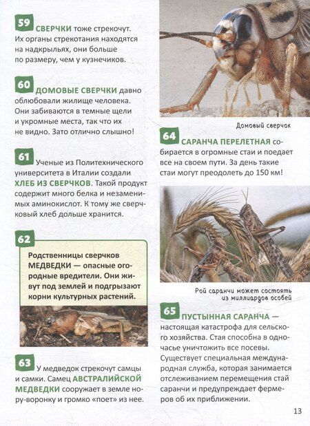 Фотография книги "Насекомые. Энциклопедия российского школьника. 250 фактов"