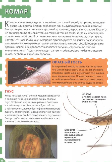 Фотография книги "Насекомые"