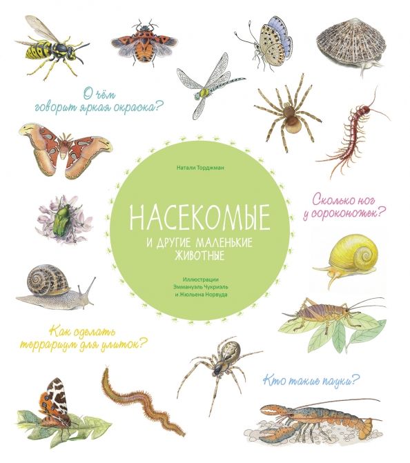 Обложка книги "Натали Торджман: Насекомые и другие маленькие животные"