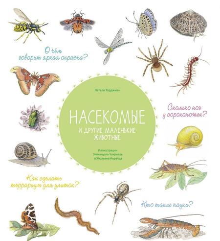 Фотография книги "Натали Торджман: Насекомые и другие маленькие животные"
