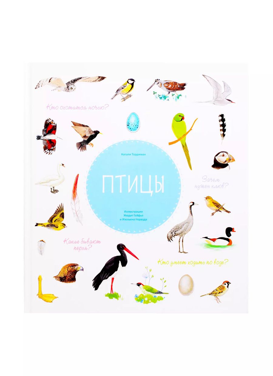 Обложка книги "Натали Торджман: Птицы"