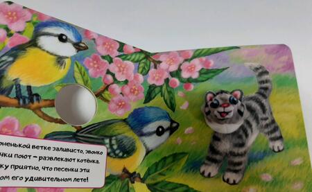 Фотография книги "Наталья Карпова: Мой забавный котёнок"