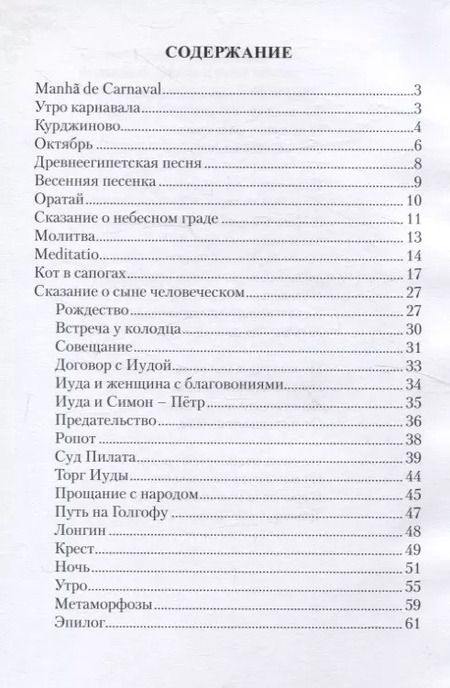 Фотография книги "Наталья Мирошниченко: Карнавал слов. Сборник стихов"