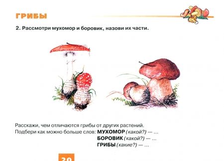 Фотография книги "Наталья Русланова: Дидактический материал "Деревья и кустарники. Грибы" для развития детей 5-7 лет"