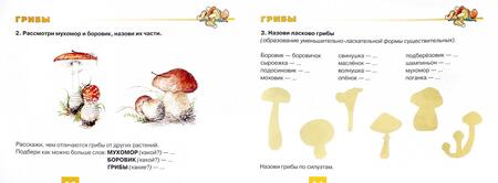 Фотография книги "Наталья Русланова: Дидактический материал "Деревья и кустарники. Грибы" для развития детей 5-7 лет"