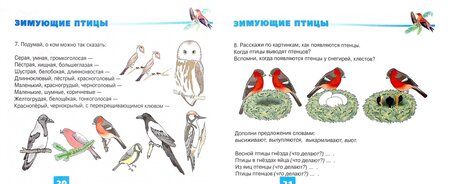 Фотография книги "Наталья Русланова: Дидактический материал "Птицы". Для развития детей 5-7 лет"