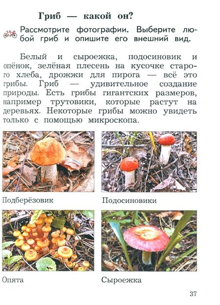 Фотография книги "Наталья Виноградова: Окружающий мир. 2 класс. Учебное пособие. В 2-х частях. Часть 2. ФГОС"