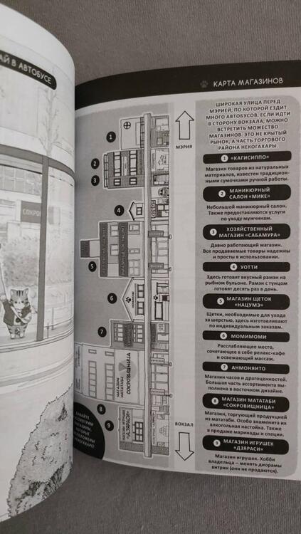 Фотография книги "Нацуми: Некодомо"